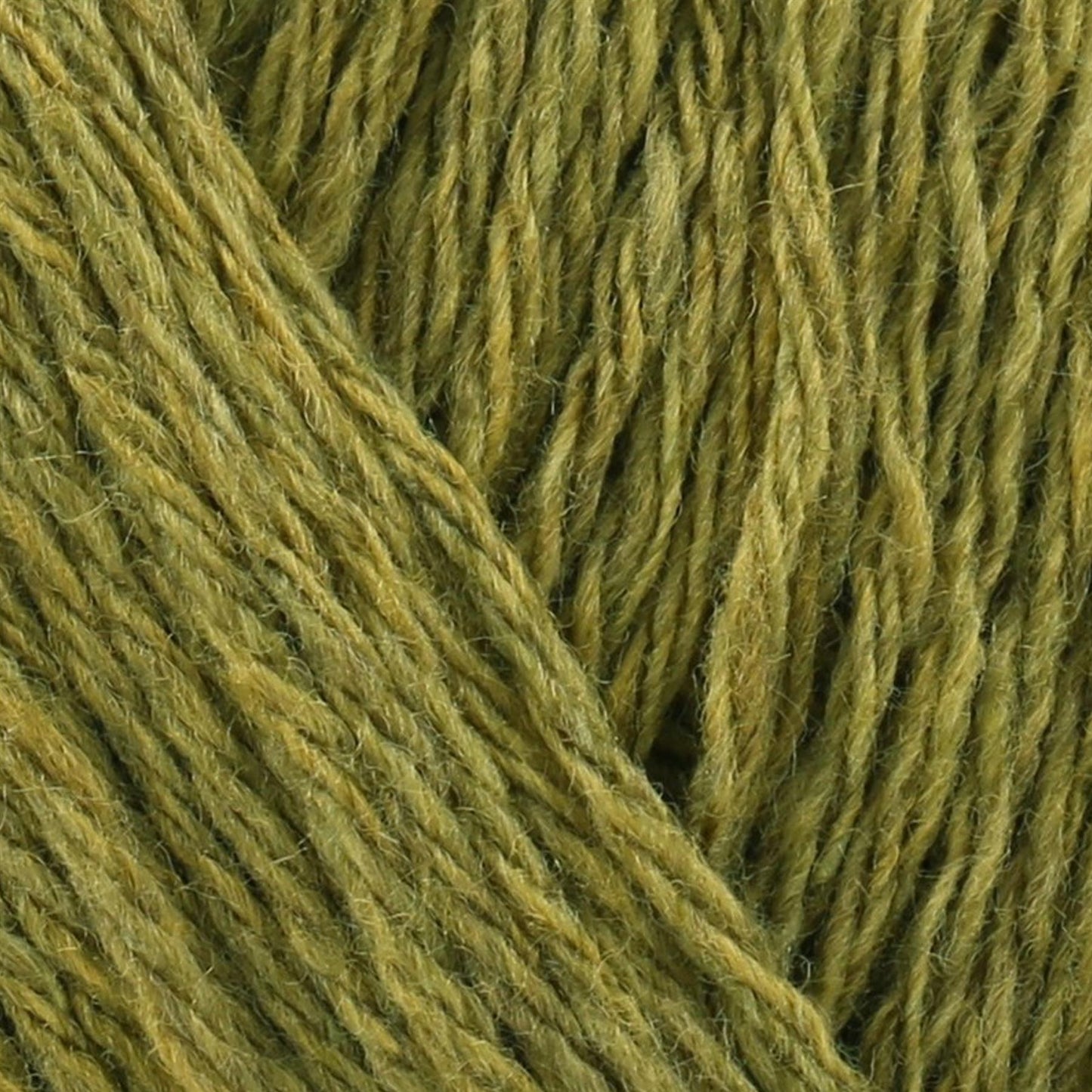 3153189 Recreate Avocado (3189) 40% Wool, 30%Acrylic, 30% Polyester Yarn - 100g Double Knit