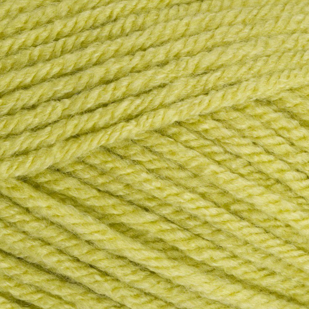 9061822 Special Chunky Pistachio (1822) 100% Premium Acrylic Yarn - 100g Chunky