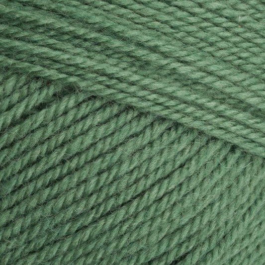 9033980 Special Aran with Wool Succulent (3980) 80% Acrylic 20% Wool Yarn - 400g Aran