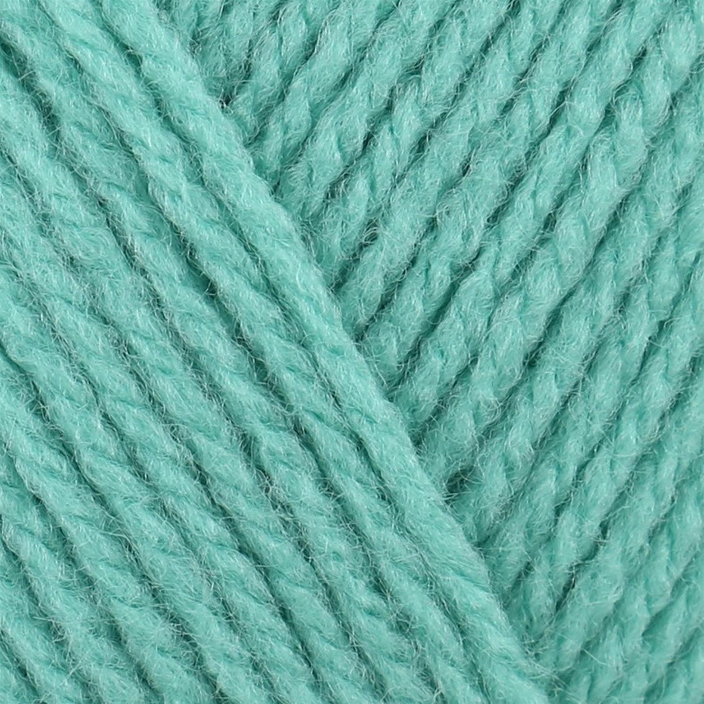 8461 Top Value DK Green 100% Premium Acrylic Yarn - 100g Double Knit
