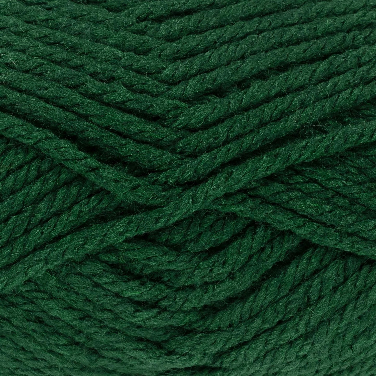 643489 Big Value Super Forest Yarn - 81M, 100g Chunky