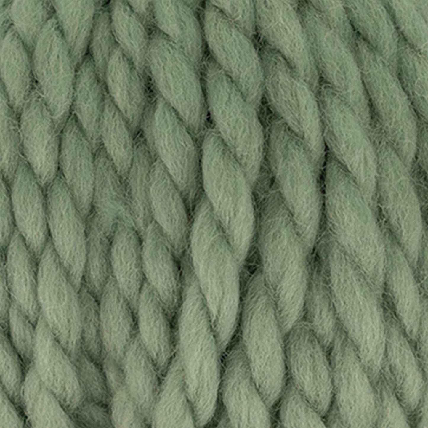 2044708 Rosarium Mega Rose Leaf Yarn - 40M, 100g Chunky