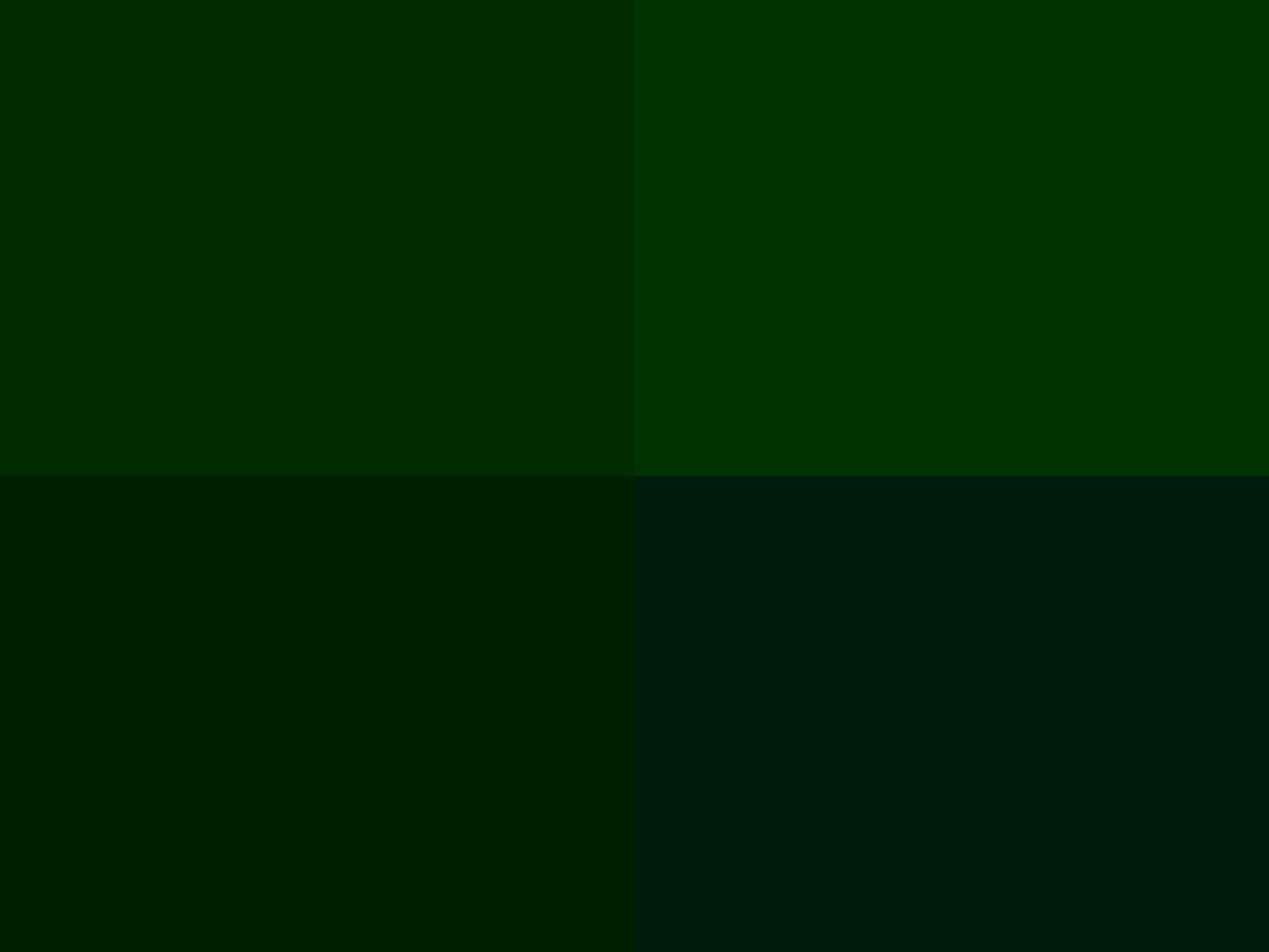 Hoooked Zpagetti Dark Green Cotton T-Shirt Yarn - 120M 700g (Pack of 3)