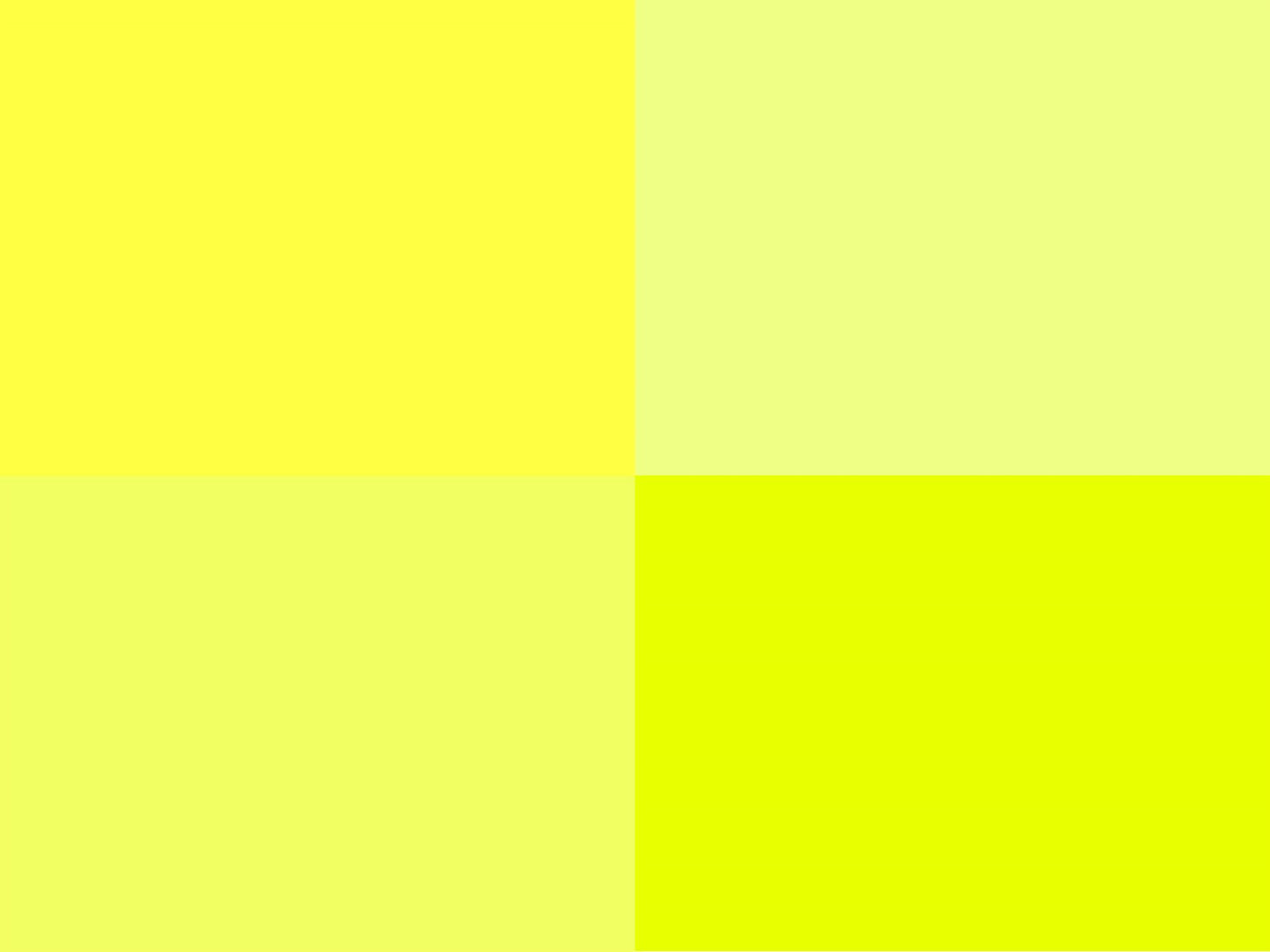 Hoooked Zpagetti Chartreuse Green Cotton T-Shirt Yarn - 60M 350g