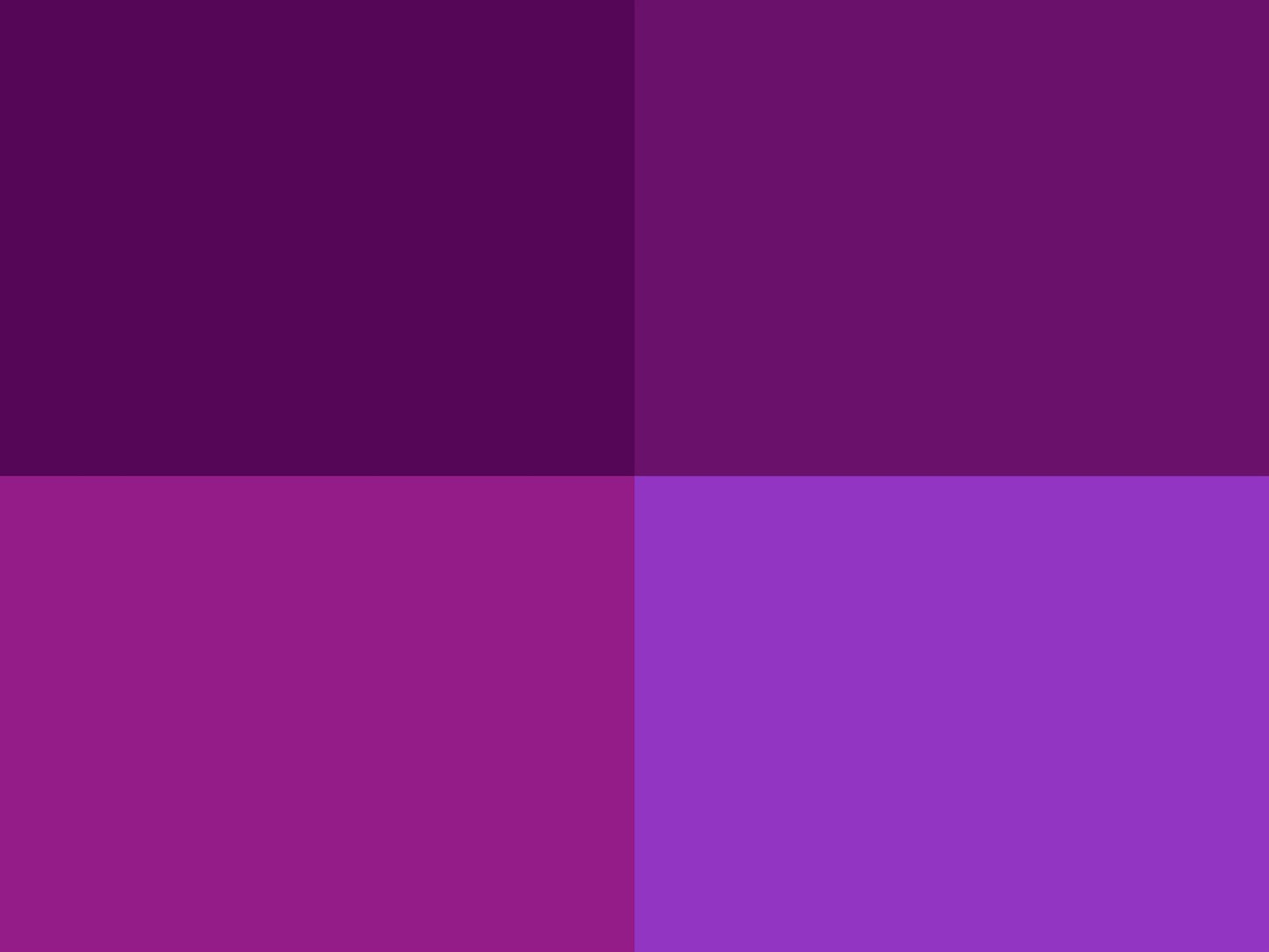 Hoooked Zpagetti Grape Purple Cotton T-Shirt Yarn - 120M 700g (Pack of 3)