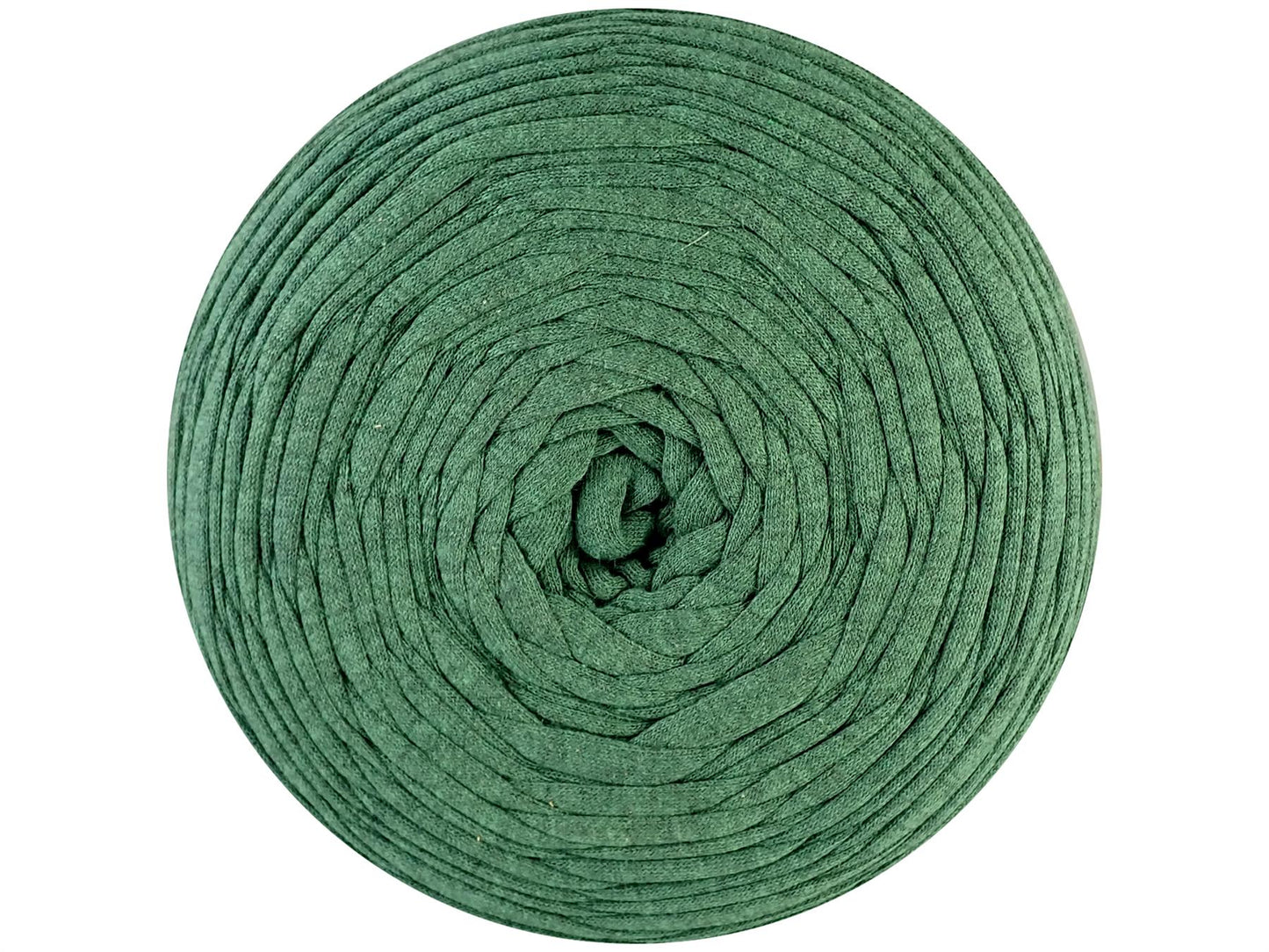 Hoooked Zpagetti Vintage Green Cotton T-Shirt Yarn - 120M 700g