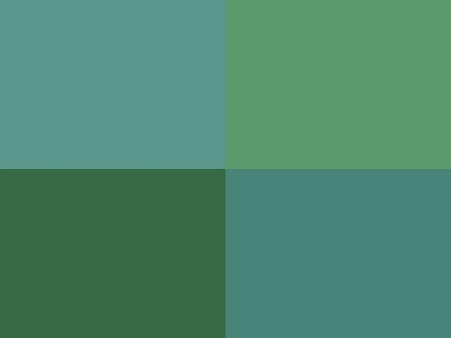 Hoooked Zpagetti Vintage Green Cotton T-Shirt Yarn - 120M 700g (Pack of 3)