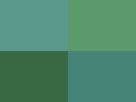 Hoooked Zpagetti Vintage Green Cotton T-Shirt Yarn - 120M 700g (Pack of 3)