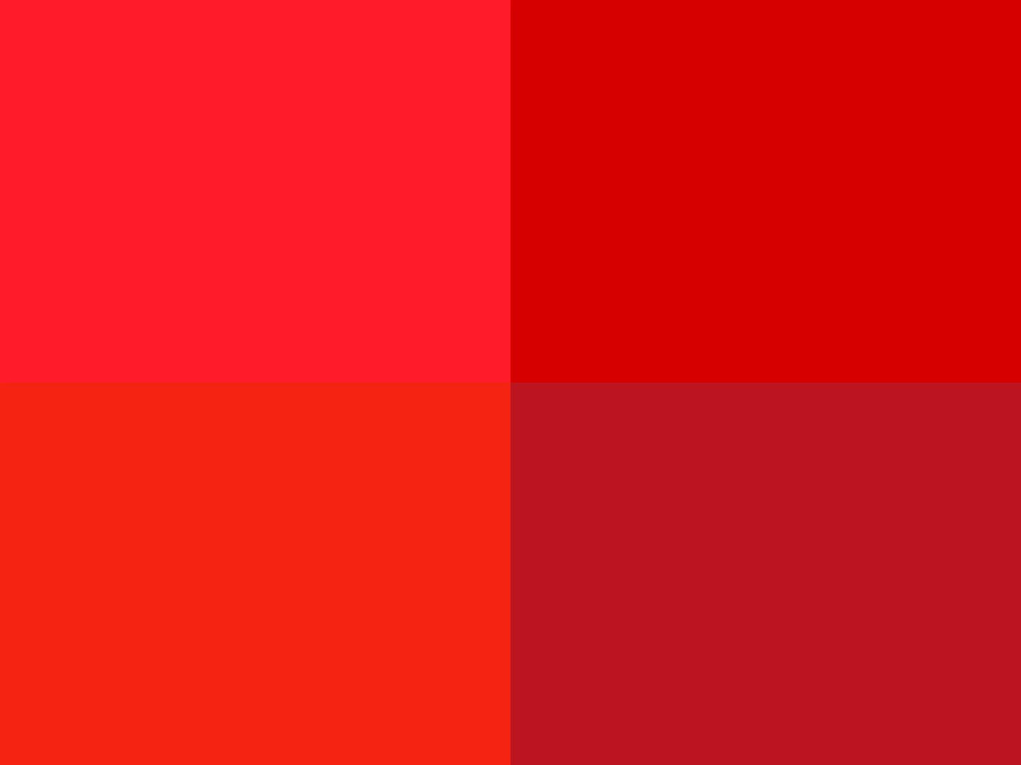 Hoooked Zpagetti Red Cotton T-Shirt Yarn - 60M 350g