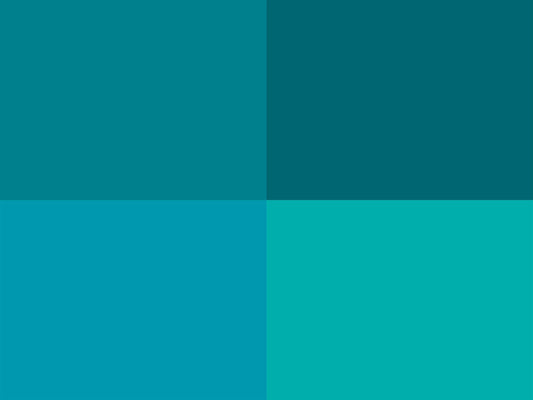 Hoooked Zpagetti Turquoise Cotton T-Shirt Yarn - 120M 700g (Pack of 3)