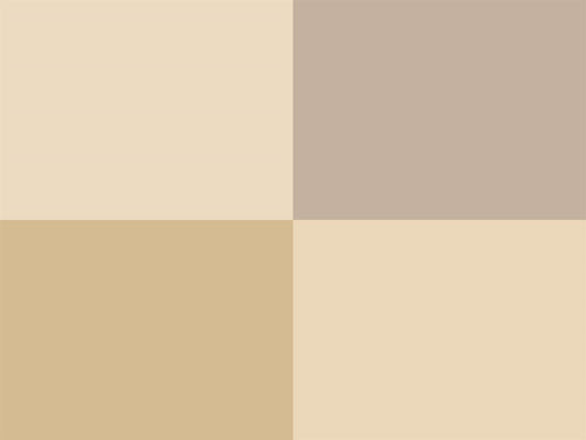 Hoooked Zpagetti Dark Taupe Cotton T-Shirt Yarn - 60M 350g