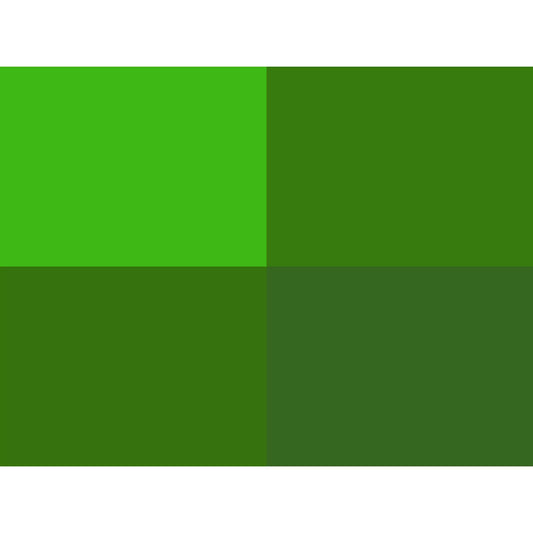 Hoooked Zpagetti Grass Green Cotton T-Shirt Yarn - 120M 700g (Pack of 3)