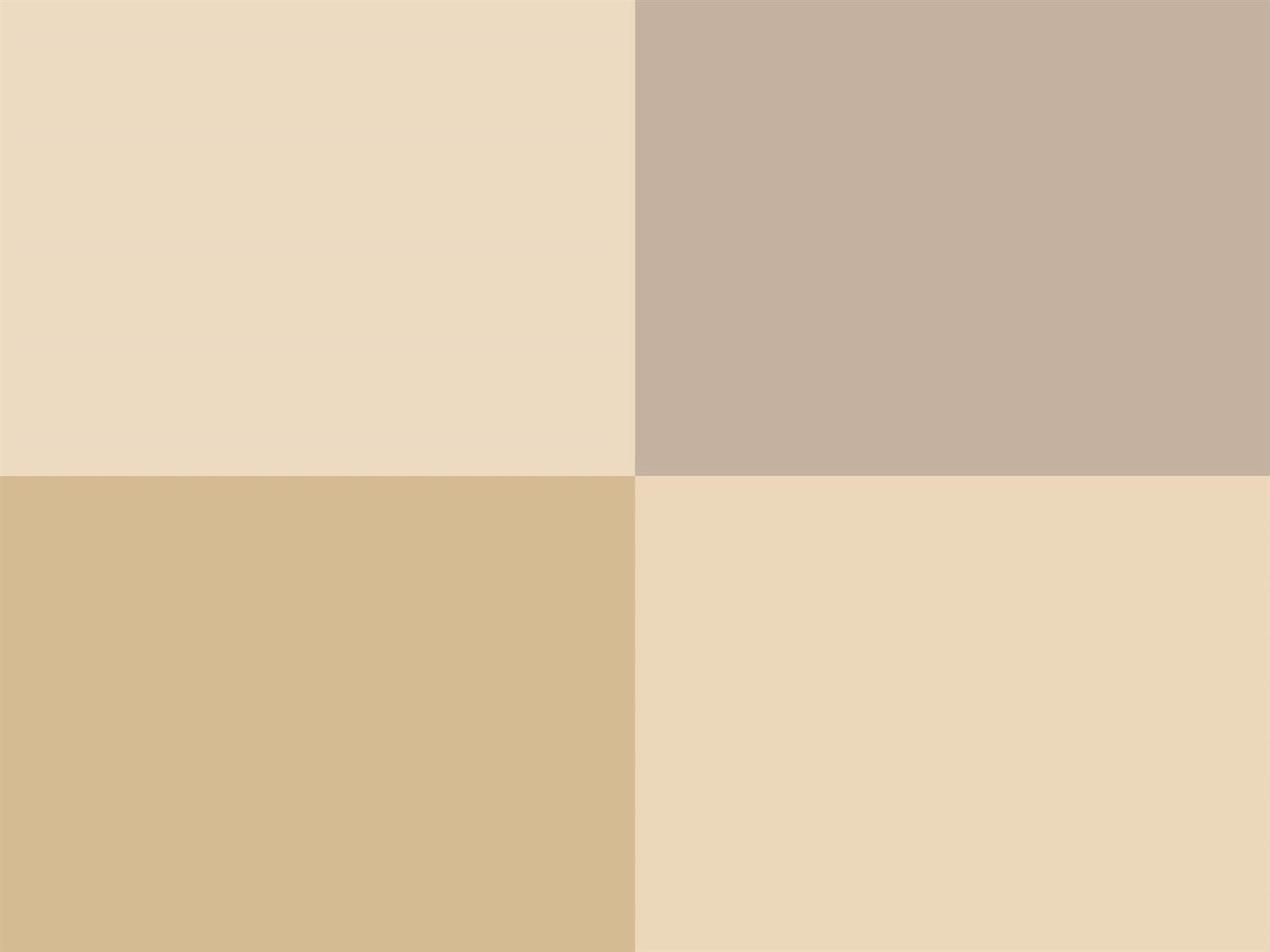 Hoooked Zpagetti Dark Taupe Cotton T-Shirt Yarn - 120M 700g (Pack of 3)