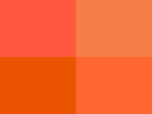 Hoooked Zpagetti Burnt Orange Cotton T-Shirt Yarn - 120M 700g