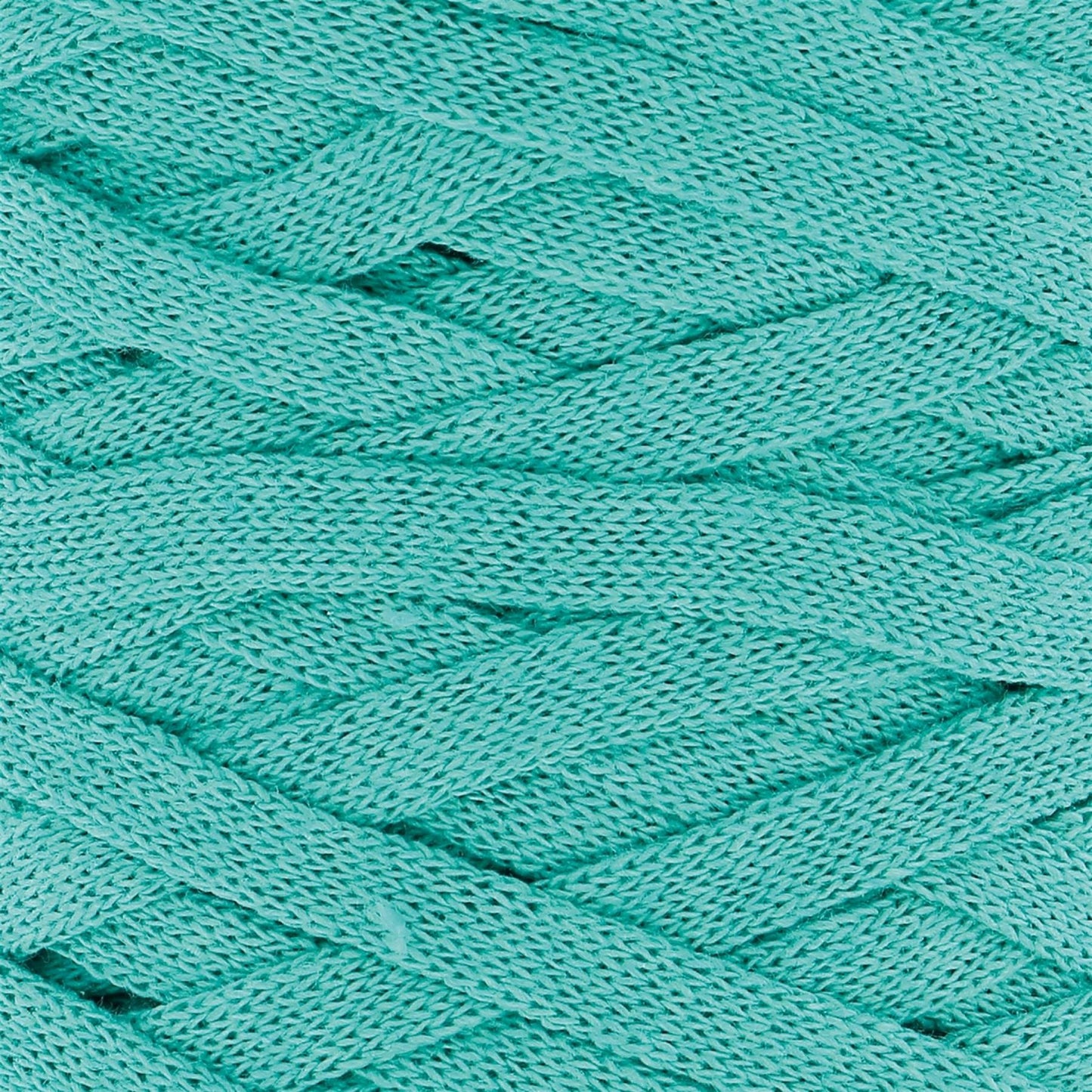 Hoooked RXL SP7 RibbonXL Happy Mint Cotton T-Shirt Yarn - 120M 250g