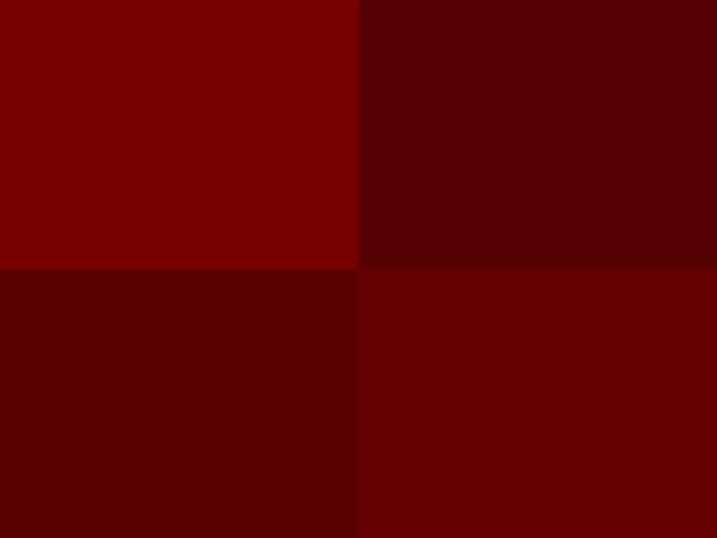 Hoooked Zpagetti Dark Red Cotton T-Shirt Yarn - 120M 700g