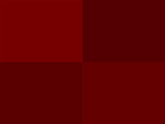 Hoooked Zpagetti Dark Red Cotton T-Shirt Yarn - 120M 700g