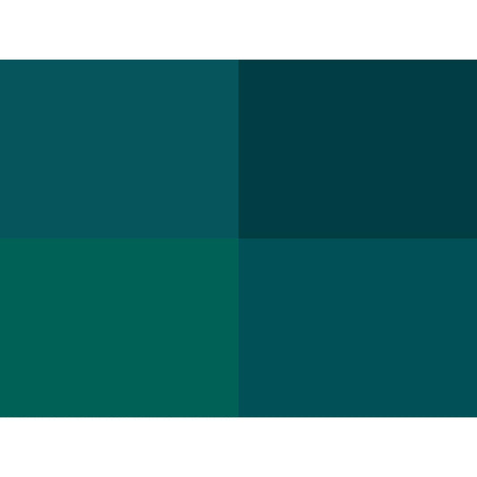 Hoooked Zpagetti Teal Green Cotton T-Shirt Yarn - 120M 700g (Pack of 3)