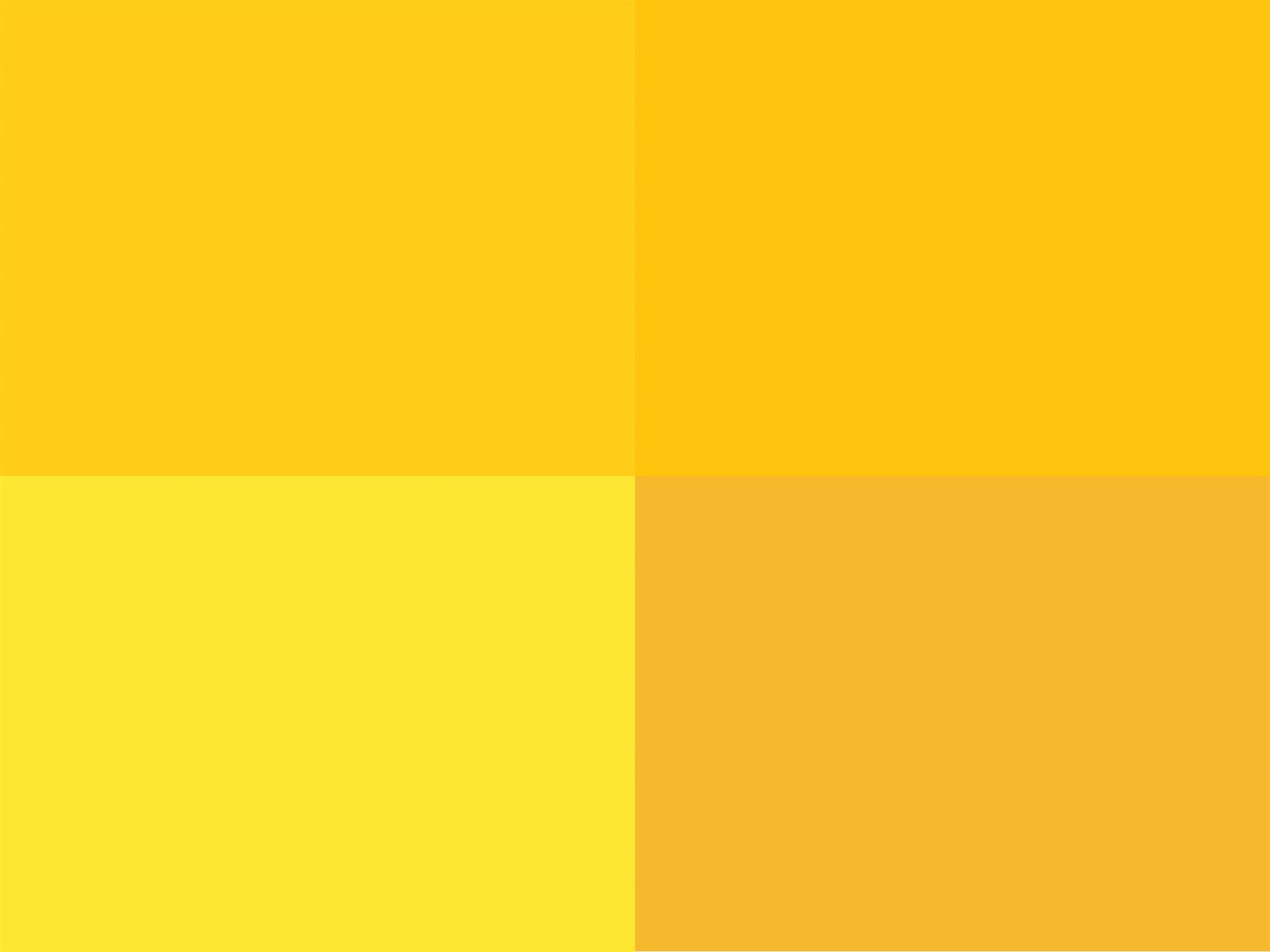 Hoooked Zpagetti Sunflower Yellow Cotton T-Shirt Yarn - 120M 700g