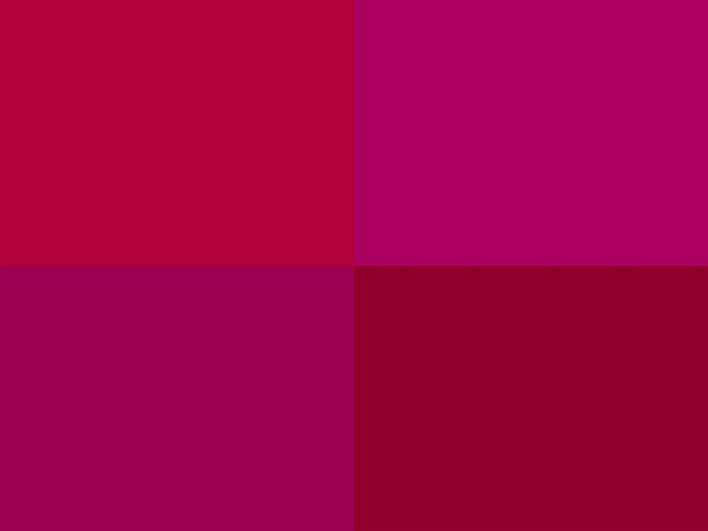 Hoooked Zpagetti Fuschia Cotton T-Shirt Yarn - 120M 700g