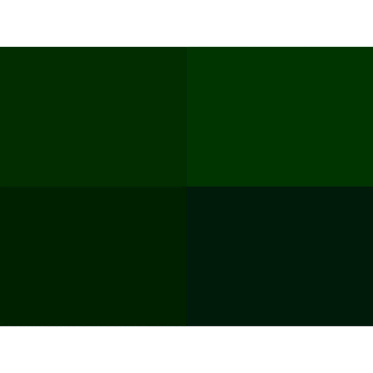 Hoooked Zpagetti Dark Green Cotton T-Shirt Yarn - 60M 350g