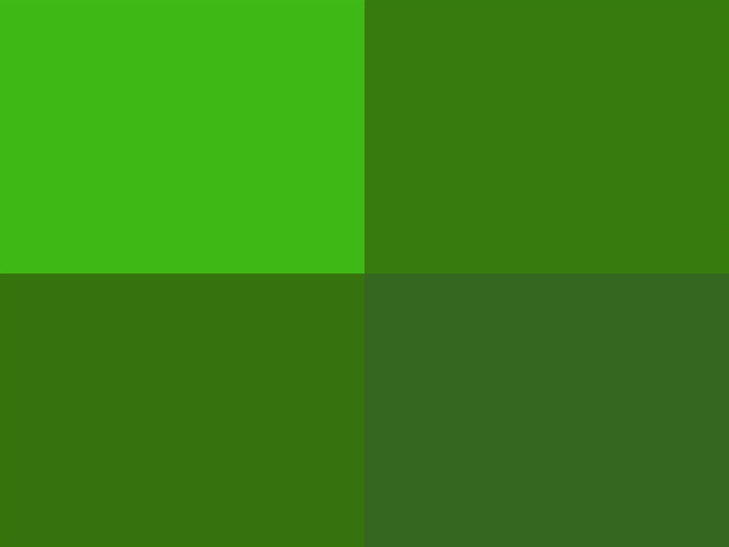 Hoooked Zpagetti Grass Green Cotton T-Shirt Yarn - 120M 700g (Pack of 3)