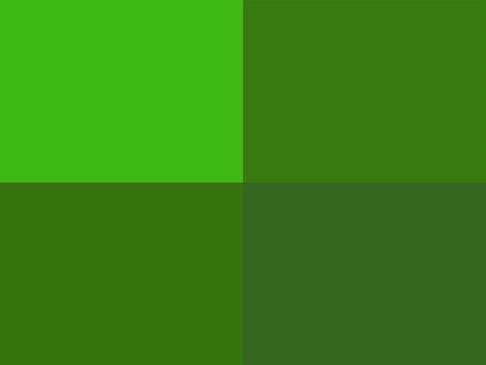 Hoooked Zpagetti Grass Green Cotton T-Shirt Yarn - 120M 700g