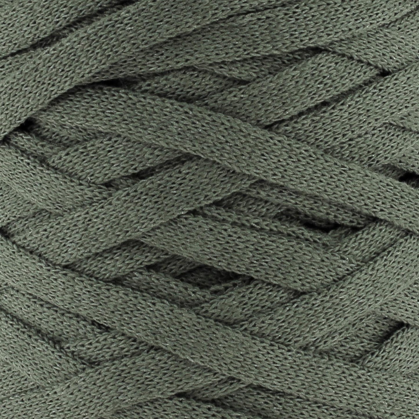 RXLSP6 RibbonXL Dried Herb Cotton Yarn - 120M, 250g