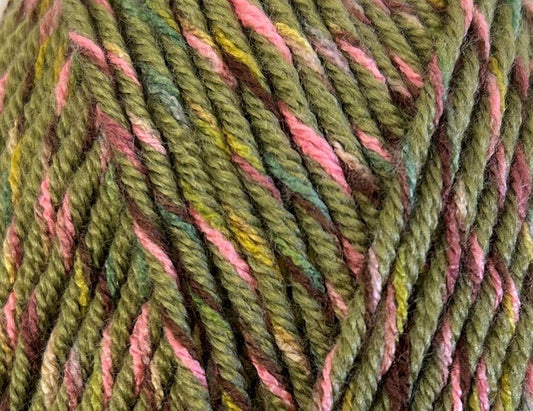 3426203 Bella Bella Angela Fern Yarn - 100g Chunky