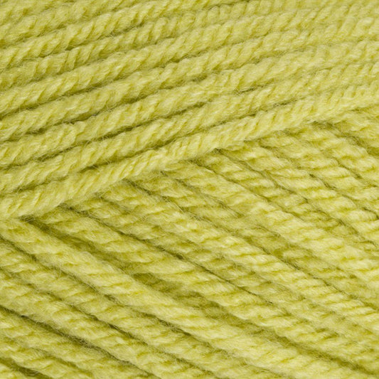 9061822 Special Chunky Pistachio (1822) 100% Premium Acrylic Yarn - 100g Chunky