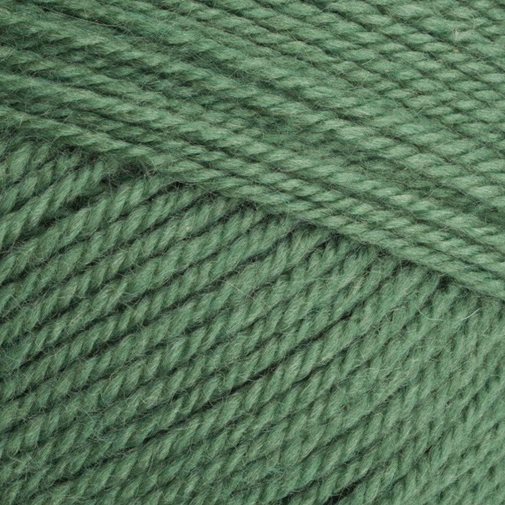 9033980 Special Aran with Wool Succulent (3980) 80% Acrylic 20% Wool Yarn - 400g Aran