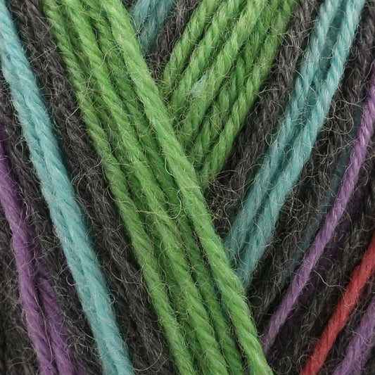 FZB20 Funny Feetz with Bamboo Multi-Coloured 50% Superwash Wool, 25% Polyamide, 25% Bamboo Yarn - 100g Novelty