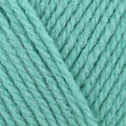 8461 Top Value DK Green 100% Premium Acrylic Yarn - 100g Double Knit