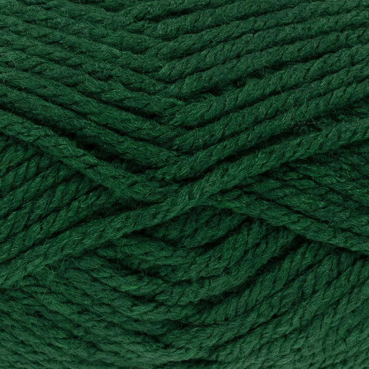 643489 Big Value Super Forest Yarn - 81M, 100g Chunky