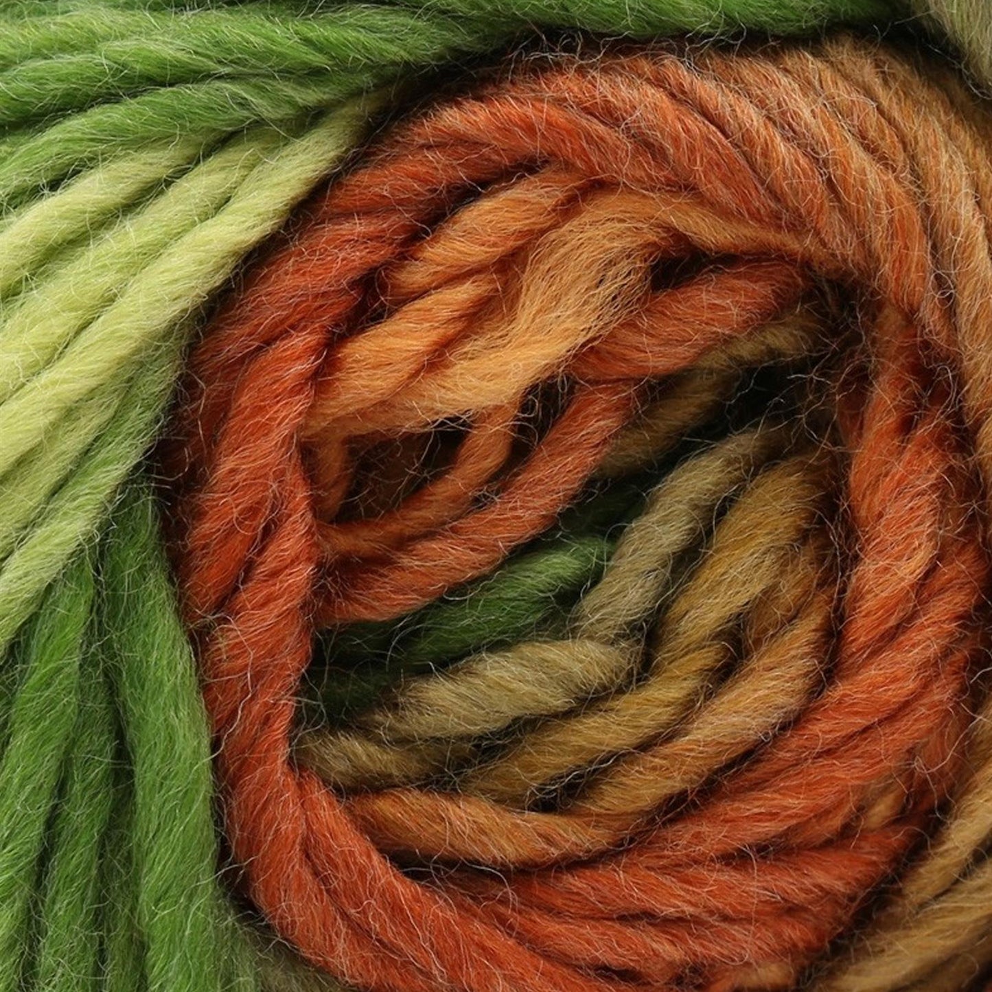 Riot Woodland Yarn - 134M, 100g Chunky