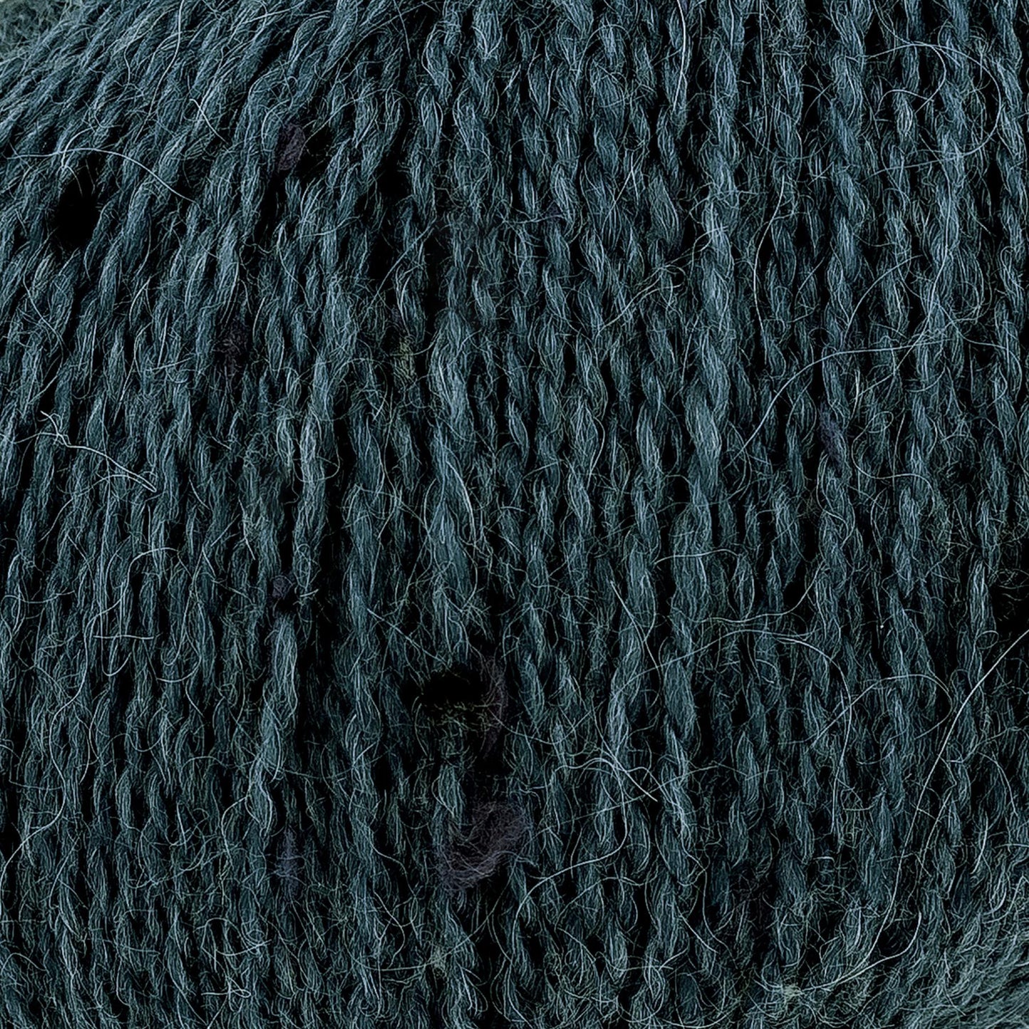 2095110 Homespun Blackbird Yarn - 175M, 50g Double Knit
