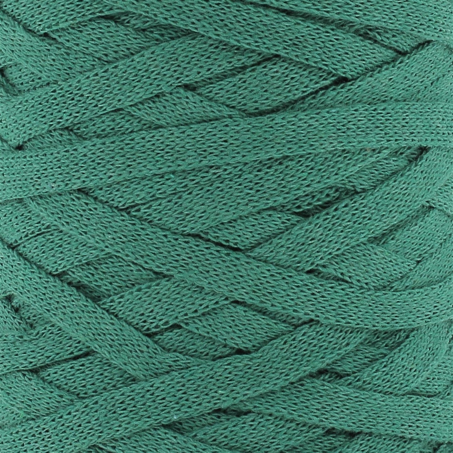 RXL52 RibbonXL Lush Green Cotton Yarn - 120M, 250g