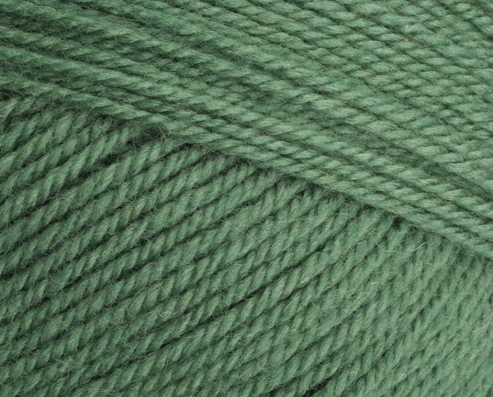 9033980 Special Aran with Wool Succulent (3980) 80% Acrylic 20% Wool Yarn - 400g Aran