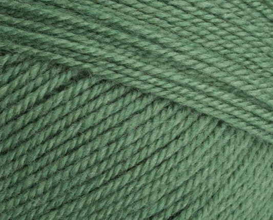 9033980 Special Aran with Wool Succulent (3980) 80% Acrylic 20% Wool Yarn - 400g Aran