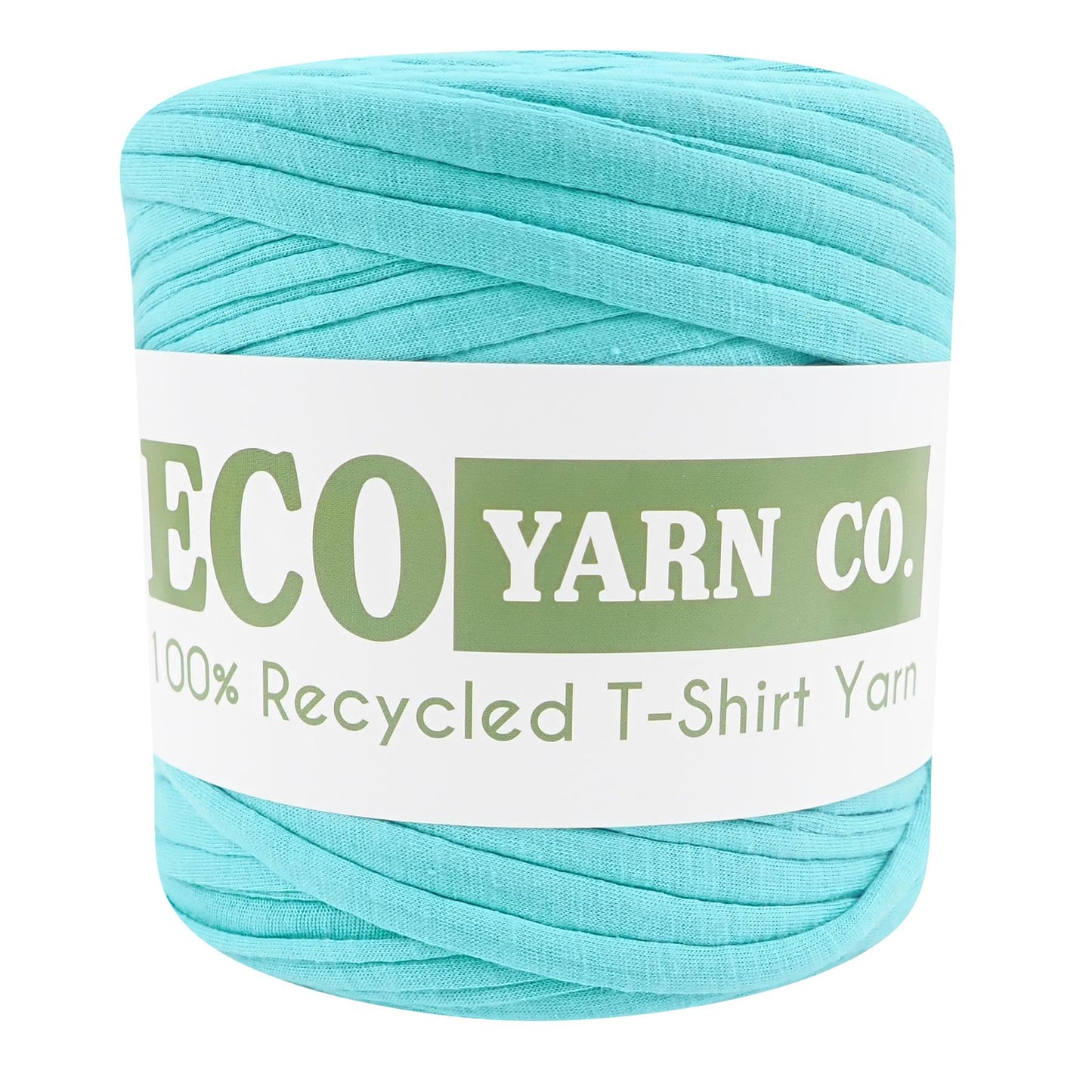 Eco Yarn Co Mint Green Cotton T-Shirt Yarn - 120M 700g