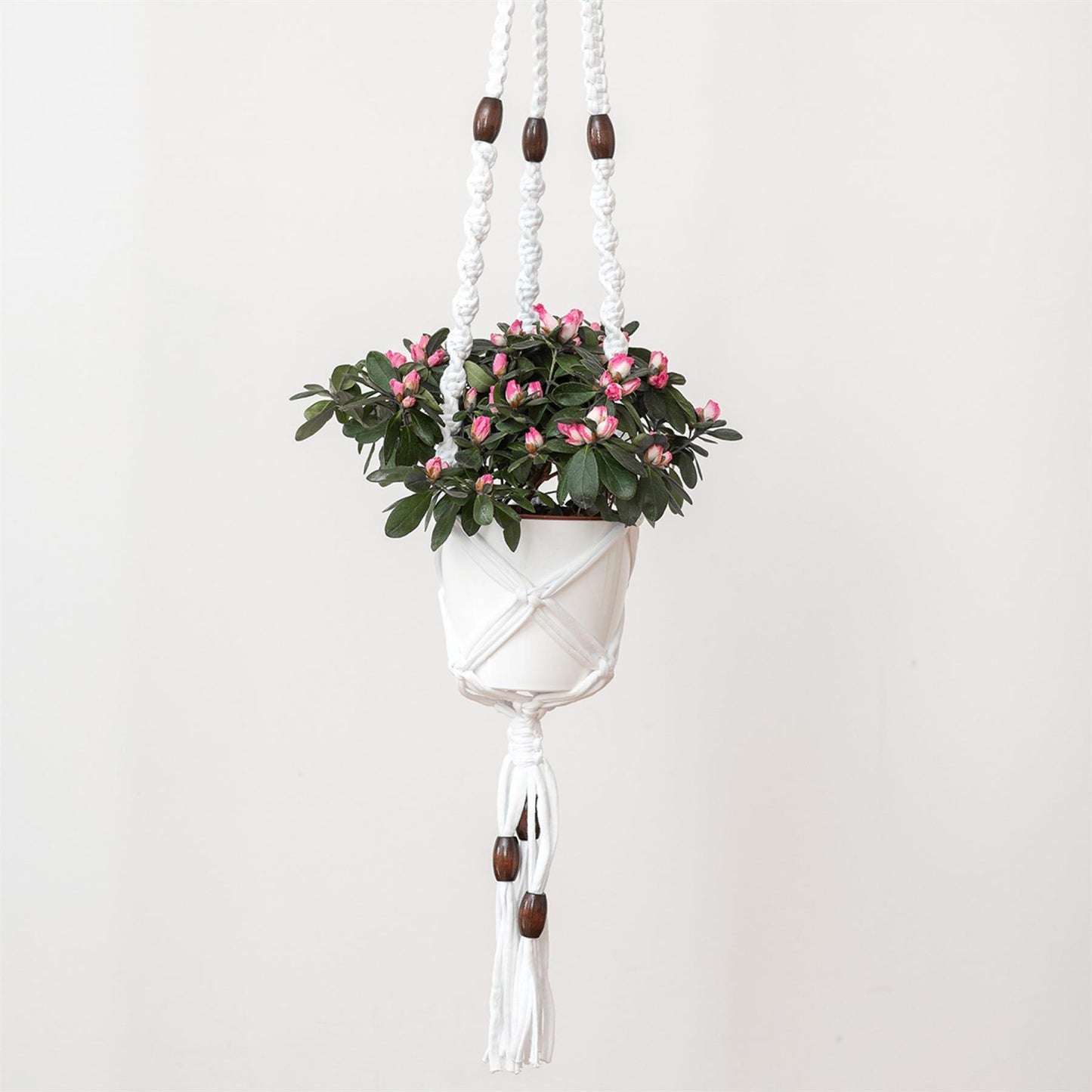 [Hoooked] PAK1622 Zpagetti White Cotton Hanging Basket Macrame Kit