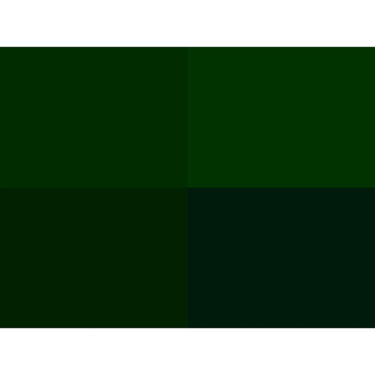 Hoooked Zpagetti Dark Green Cotton T-Shirt Yarn - 120M 700g (Pack of 3)