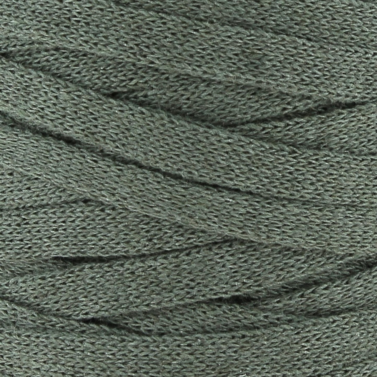 [Hoooked] RXLSP6MINI RibbonXL Dried Herb Cotton Yarn - 60M, 125g