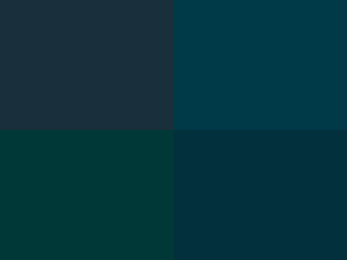 Hoooked Zpagetti Dark Teal Green Cotton T-Shirt Yarn - 120M 700g (Pack of 3)