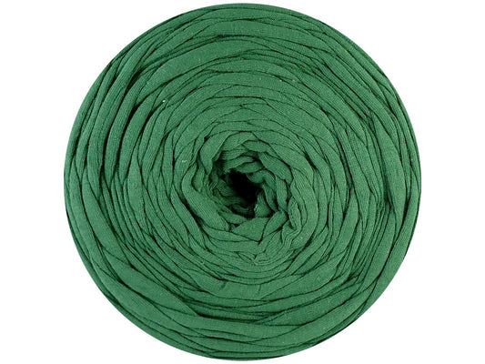 Hoooked Zpagetti Green Cotton T-Shirt Yarn - 120M 700g