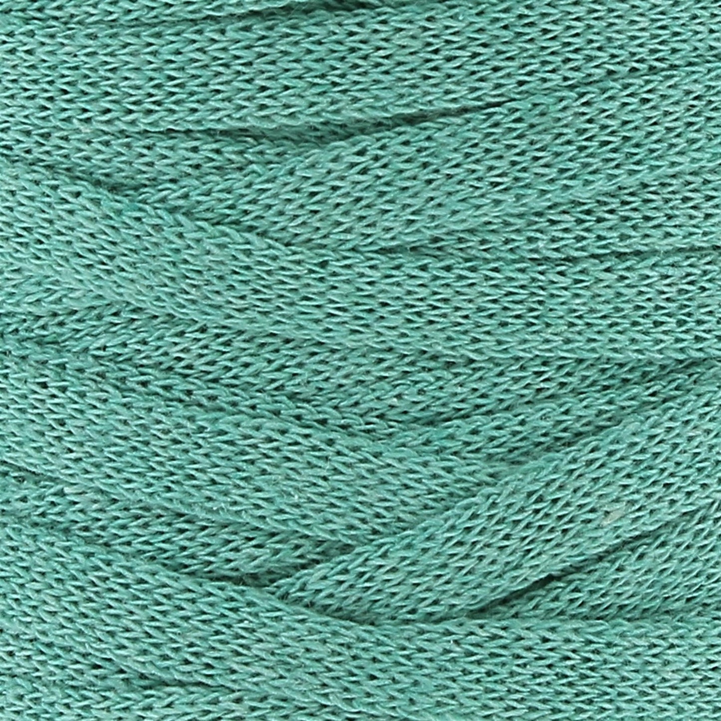 [Hoooked] RXLSP7MINI RibbonXL Happy Mint Cotton Yarn - 60M, 125g
